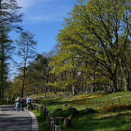 Penzion Strandhotel Weisser Berg 3*