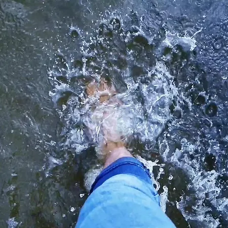 Strandhotel Weisser Berg Penzion