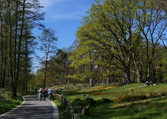 게스트하우스 Strandhotel Weisser Berg 3*