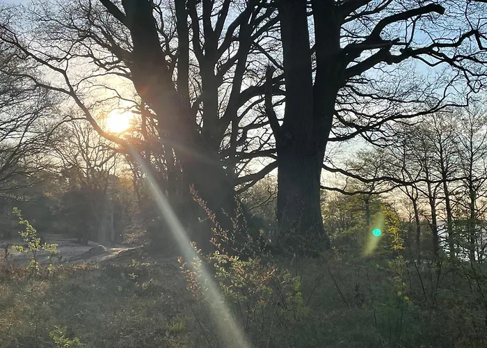 Strandhotel Weisser Berg