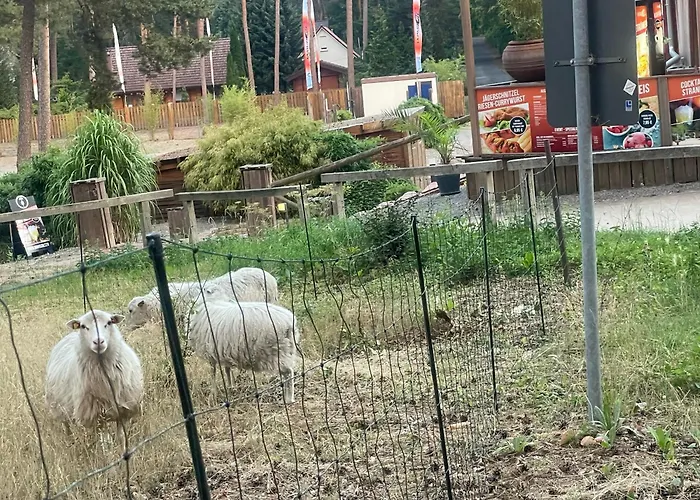 Strandhotel Weisser Berg Neustadt am Rübenberge